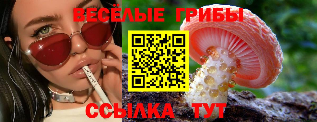 Дмитров  Псилоцибиновые грибы Magic Shrooms  Вход с VPN  Псилоцибиновые грибы MAGIC MUSHROOMS 